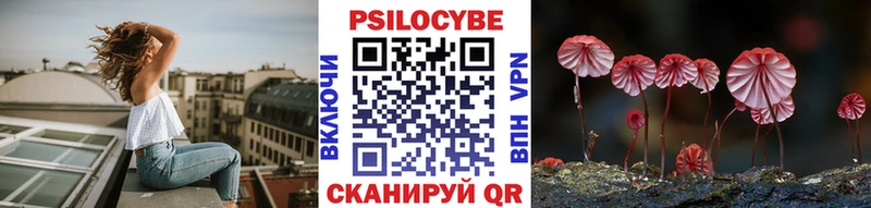 где продают наркотики  Тутаев  Псилоцибиновые грибы Psilocybine cubensis 