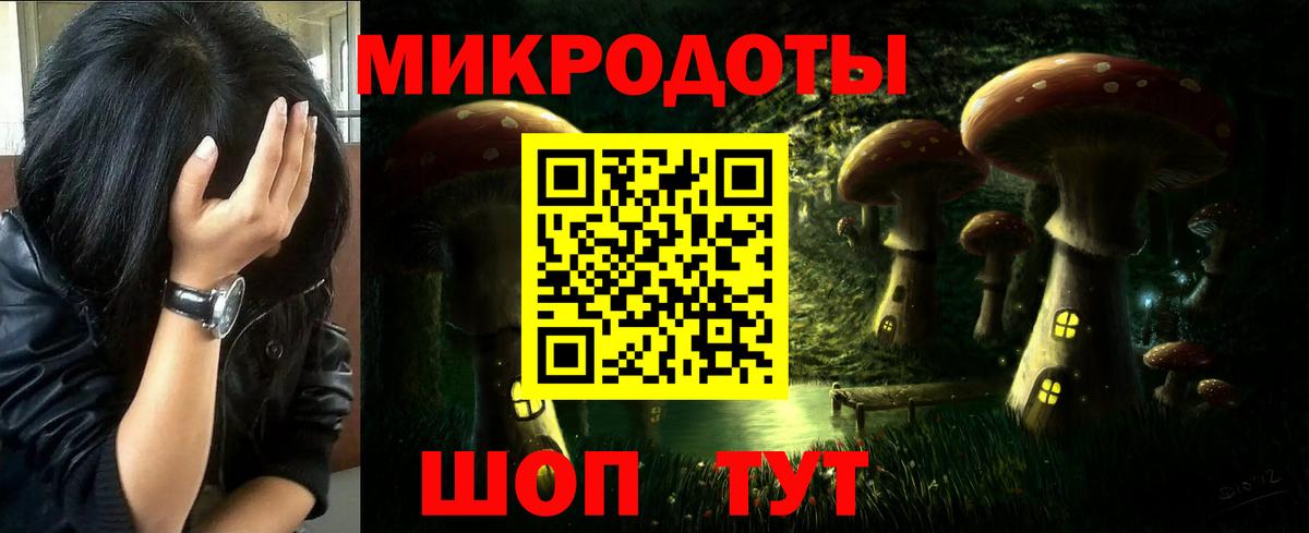 Псилоцибиновые грибы Psilocybe  Галлюциногенные грибы Psilocybe  Тутаев 